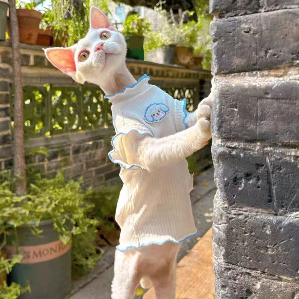 https://fulmo-img-server.com/nekohapi/94f43a51-f9c4-4453-8e28-492248aa791d.jpg