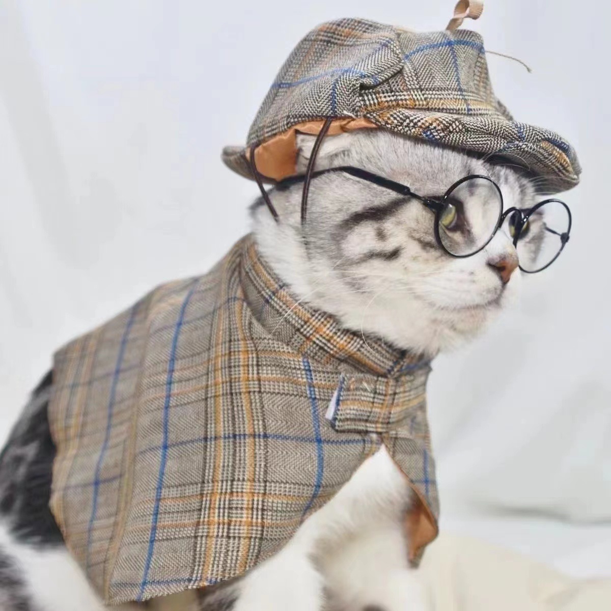 https://fulmo-img-server.com/nekohapi/9559b1e7-6c33-41a9-ba31-d546c436a4e7.jpg