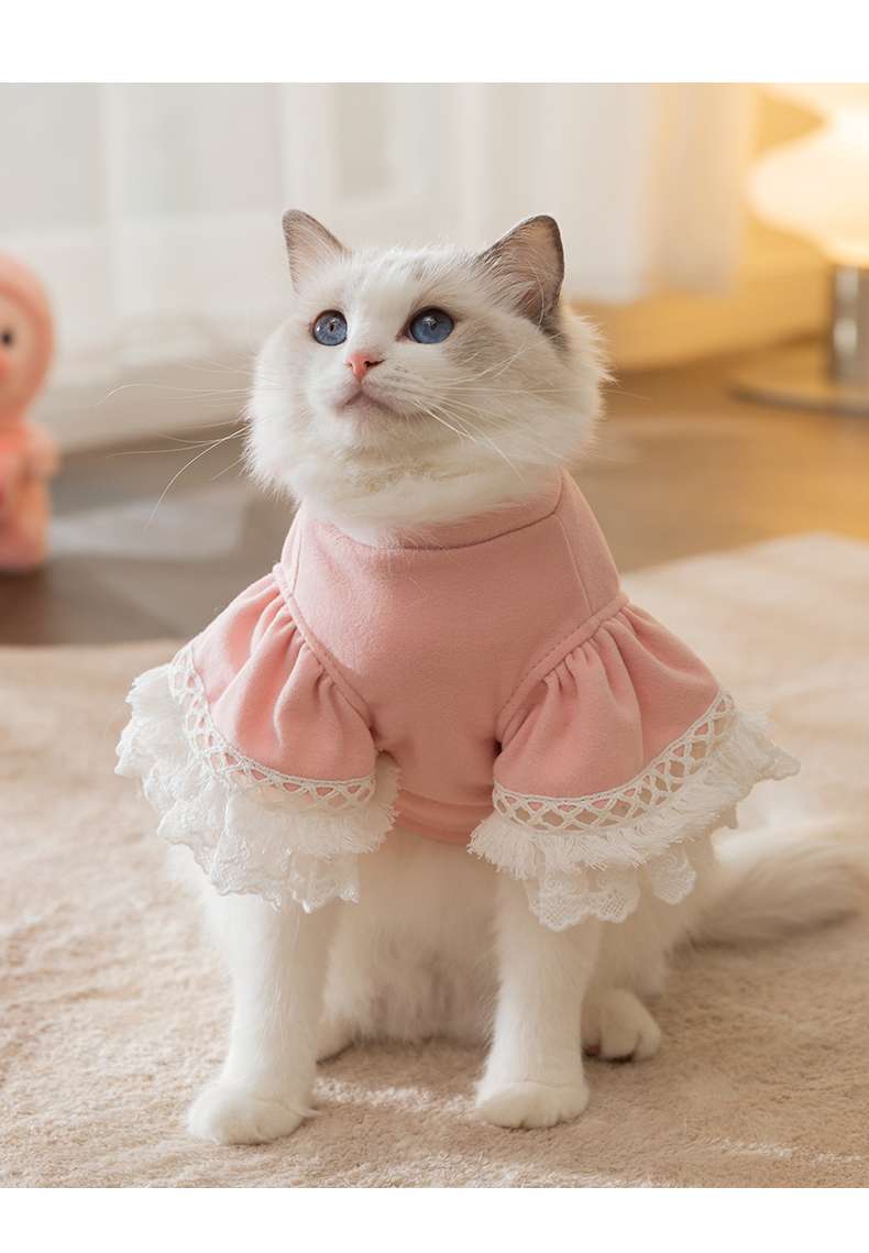 猫服  ふわもこレース猫ドレス