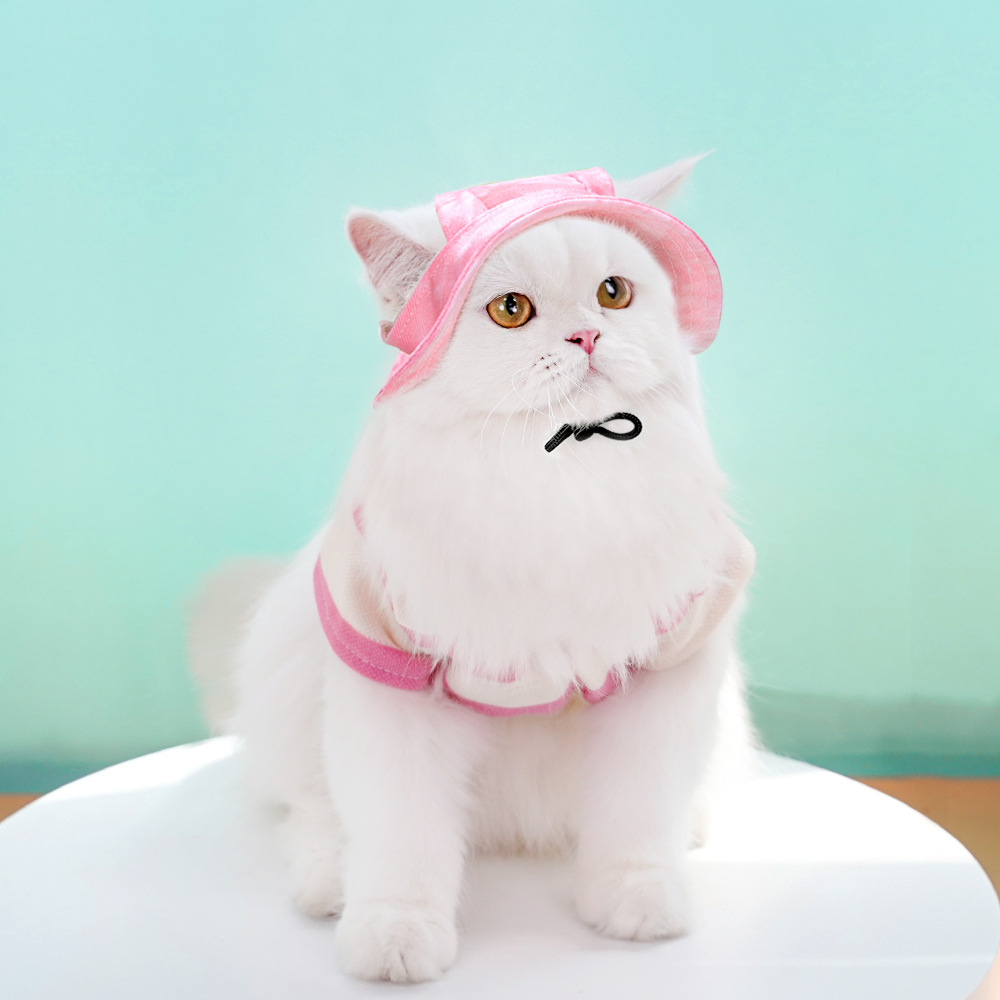 https://fulmo-img-server.com/nekohapi/96bbbbe9-4a08-4337-8032-37bbc8e5702c.jpg