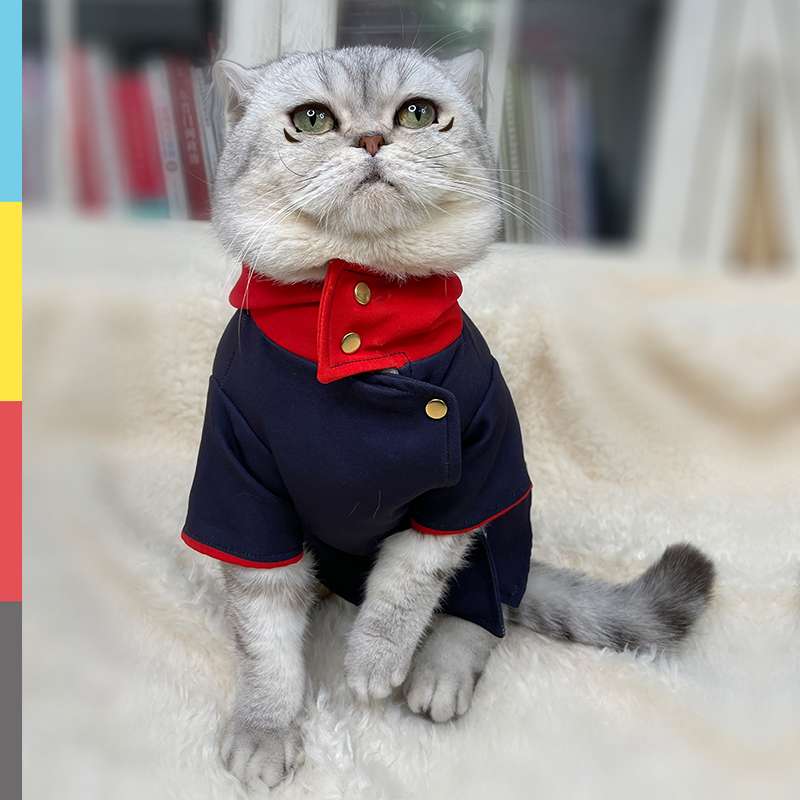 猫服 コスプレ | 愛猫のための海軍風制服コスプレ