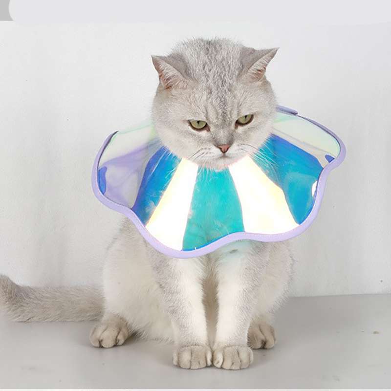 猫服  キラキラ虹色ペットの宇宙エリザベスカラー