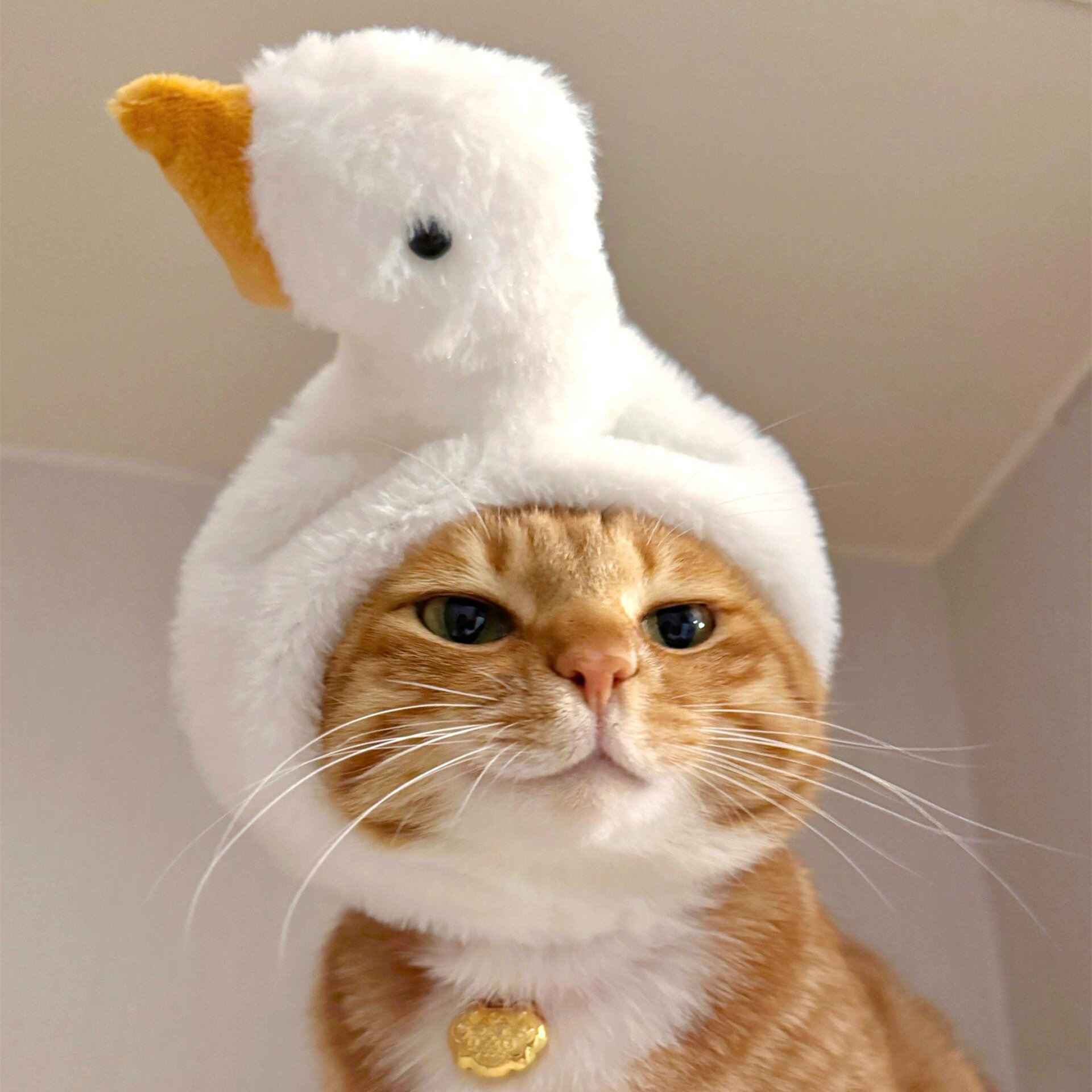 猫服 もこもこアヒルのかぶりもの帽子