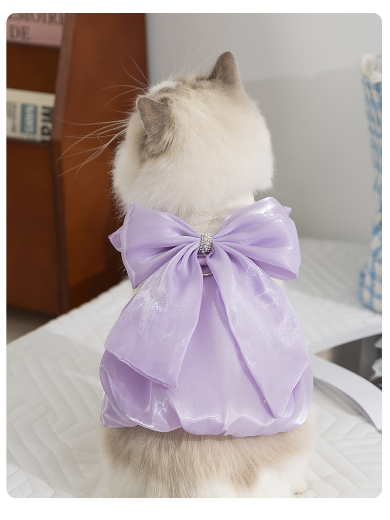 猫服 お姫様風フリル襟付き光沢ドレス