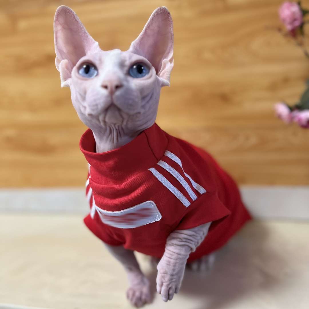 猫服  スポーティーキャットウェア