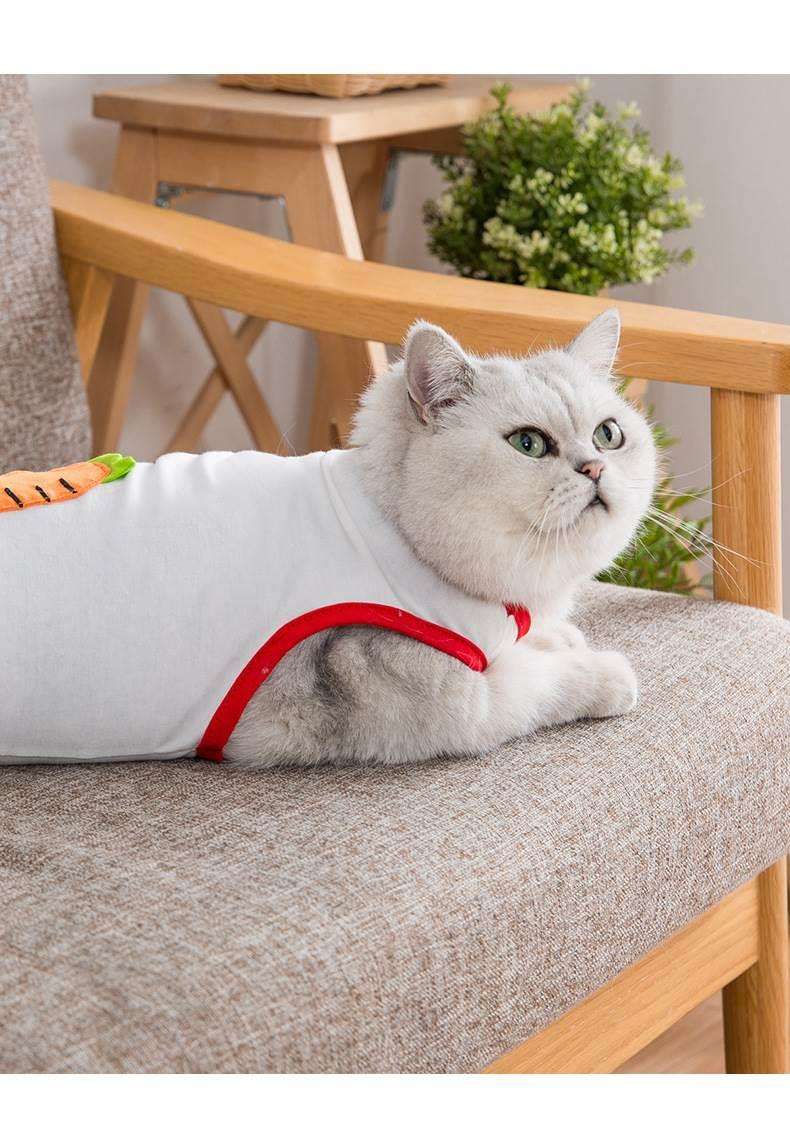 Cat Clothing Winter Jacket | Smiling Knit Sweater