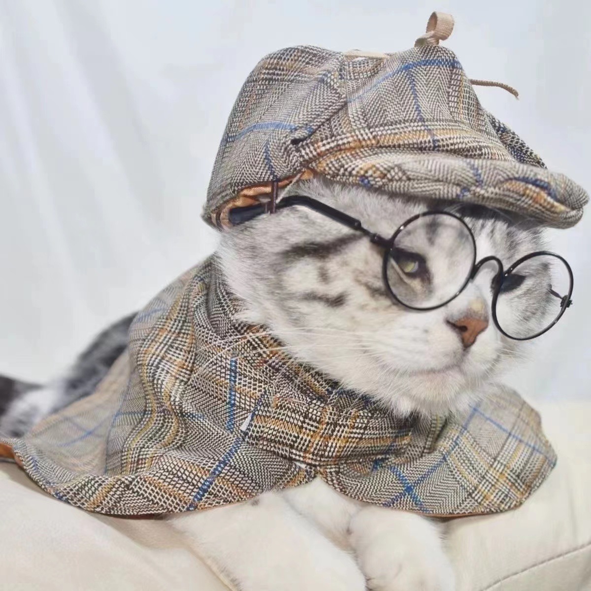 https://fulmo-img-server.com/nekohapi/9f329824-706e-4537-b3a5-0999d372e3db.jpg