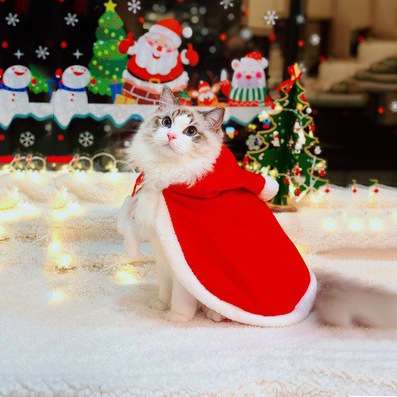 猫服  猫用サンタクロースマント クリスマスコスチューム