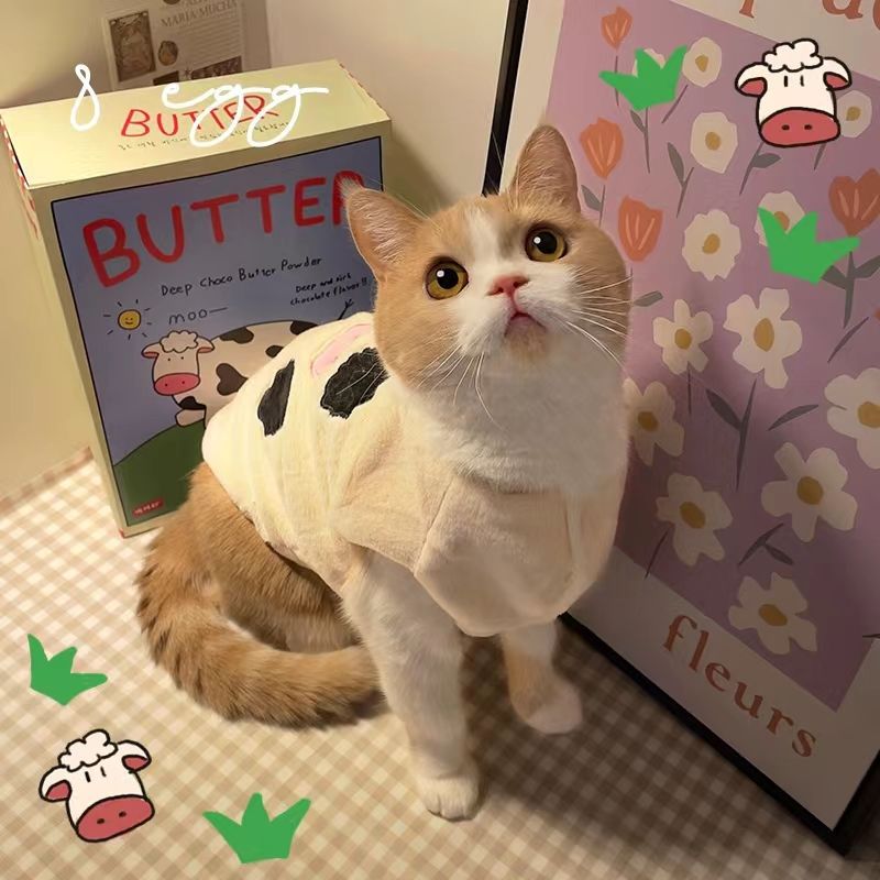 https://fulmo-img-server.com/nekohapi/9f90ab01-6eb9-44d6-8ed9-0345c3d4897c.jpg