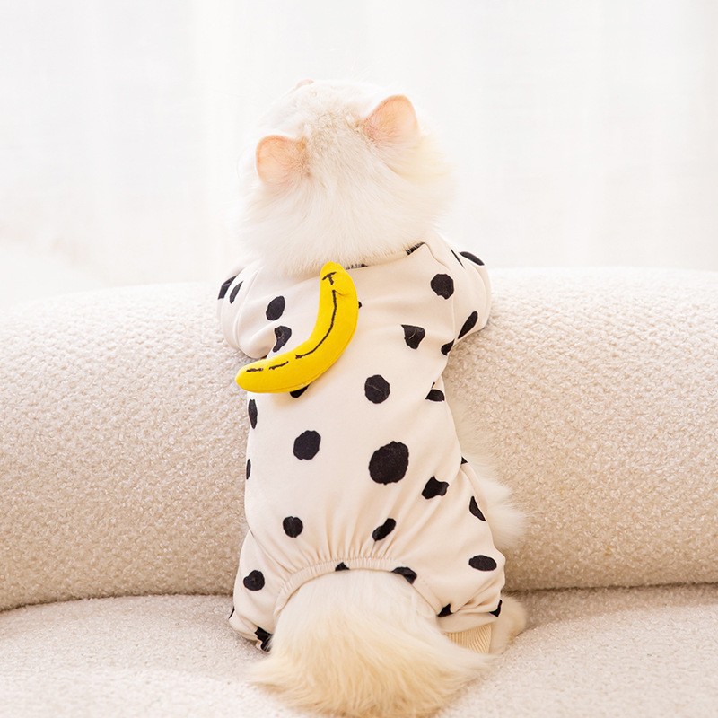 https://fulmo-img-server.com/nekohapi/9fd2fb74-2212-4ec6-b663-f6f1f24866ee.jpg
