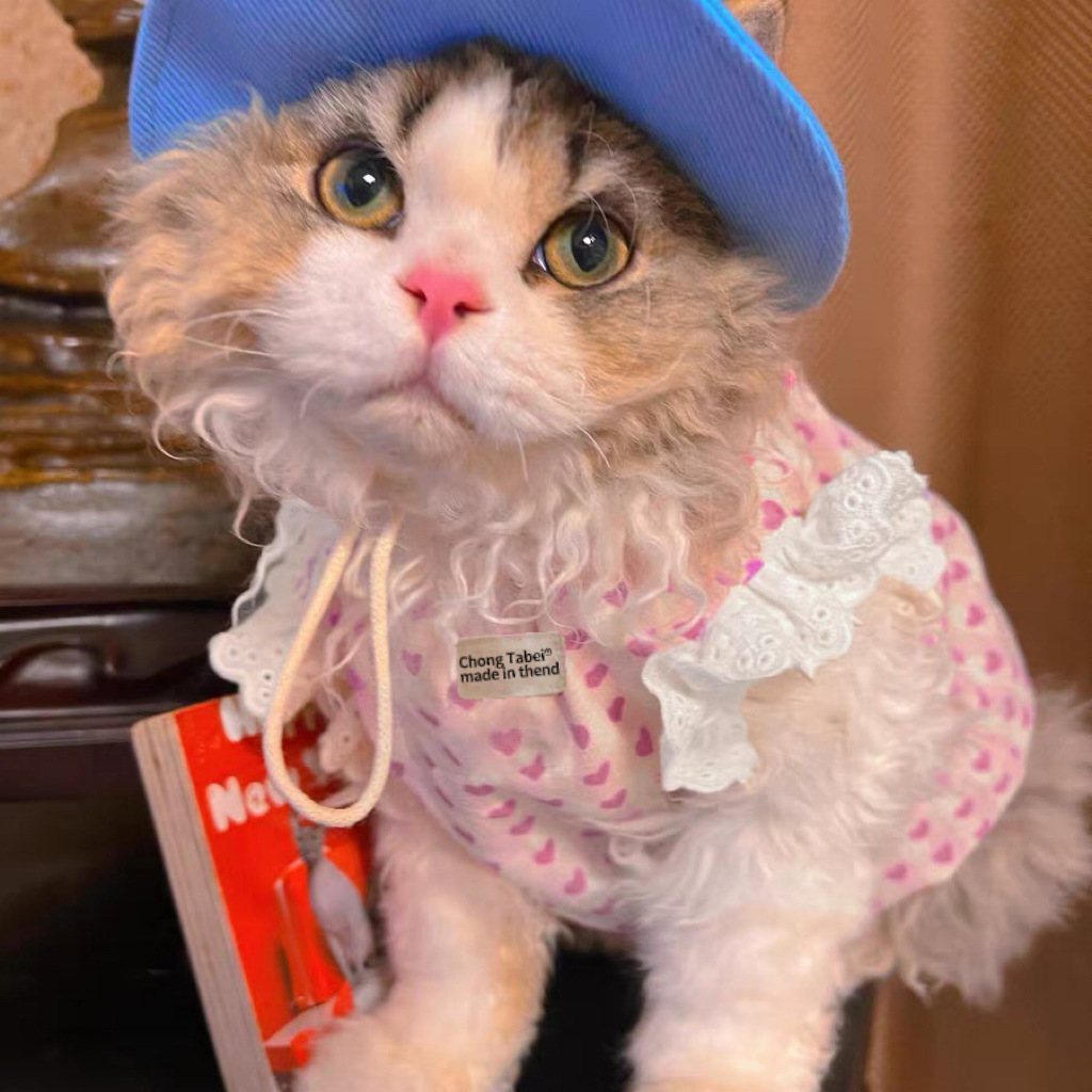 猫服 ハートレース お出かけワンピース