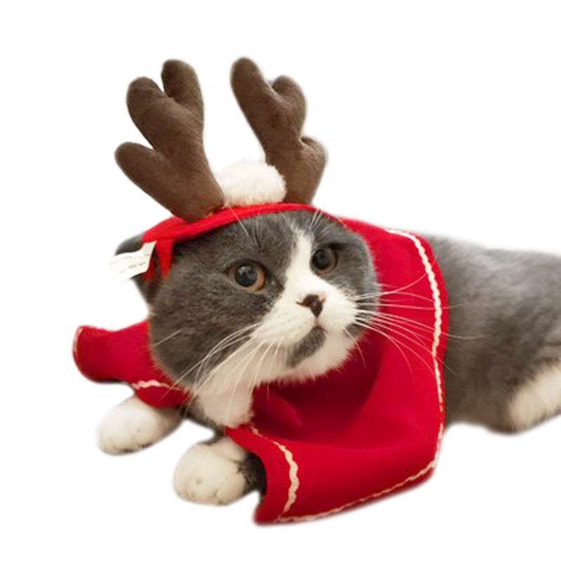 猫服 コスプレ | ねこ用クリスマス変身セット