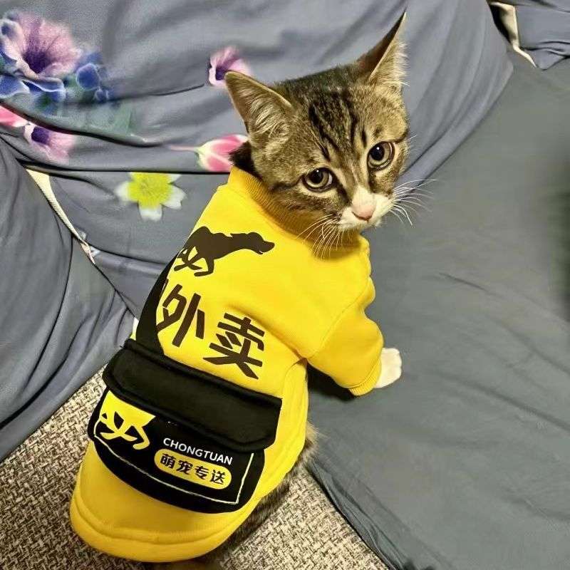 猫 コスプレ | 宅配業者風ペット用ベスト