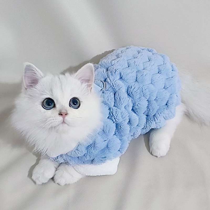 https://fulmo-img-server.com/nekohapi/a4742492867f489ea6a9c00d9b6cf3d7.jepg