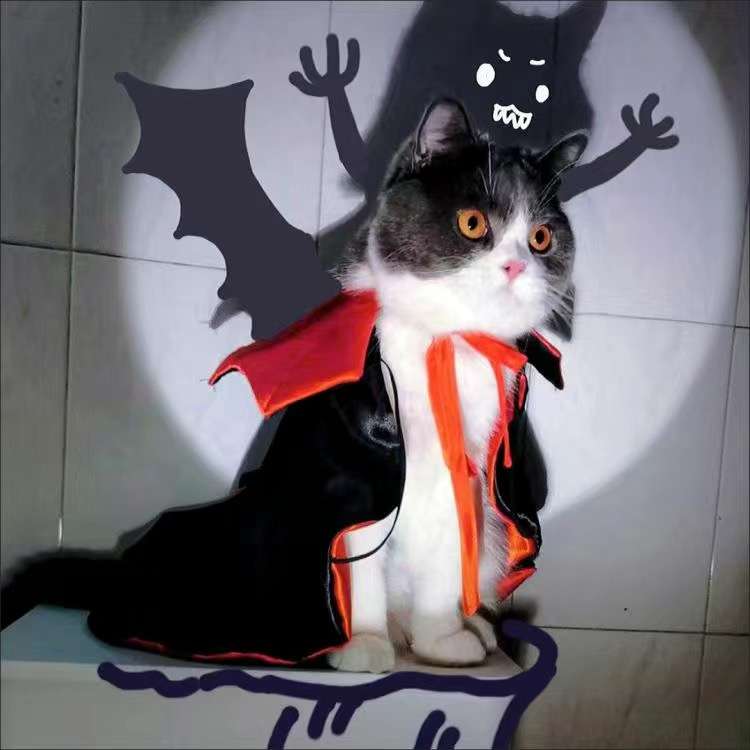 猫 コスプレ | 吸血鬼風ペット用ハロウィン衣装