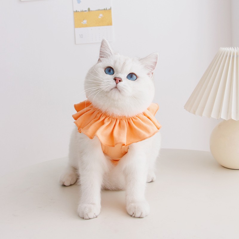 フリル襟付き猫用術後保護服