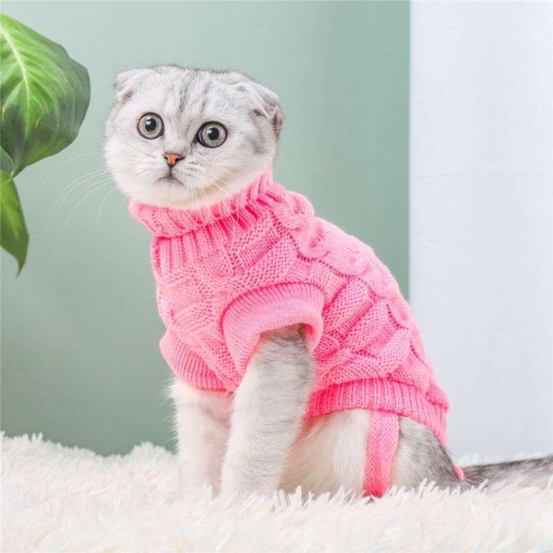 Cat Clothing Clothing | Fluffy Cat Dress Coat