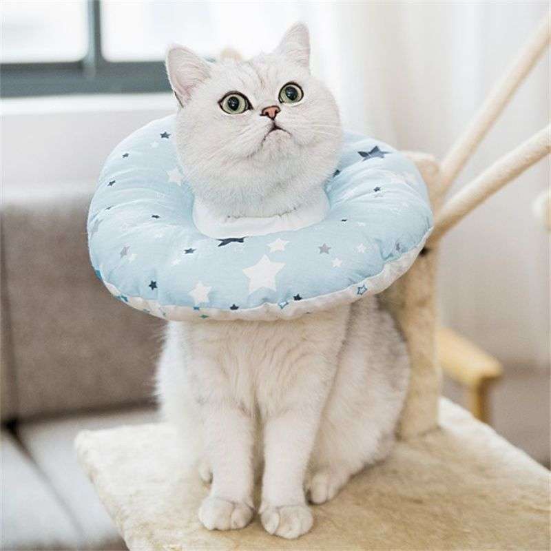 猫服  ふわふわ星空エリザベスカラー