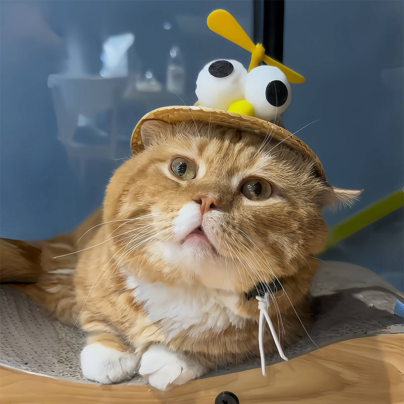 猫服 竹とんぼ付き麦わら風つば広帽子
