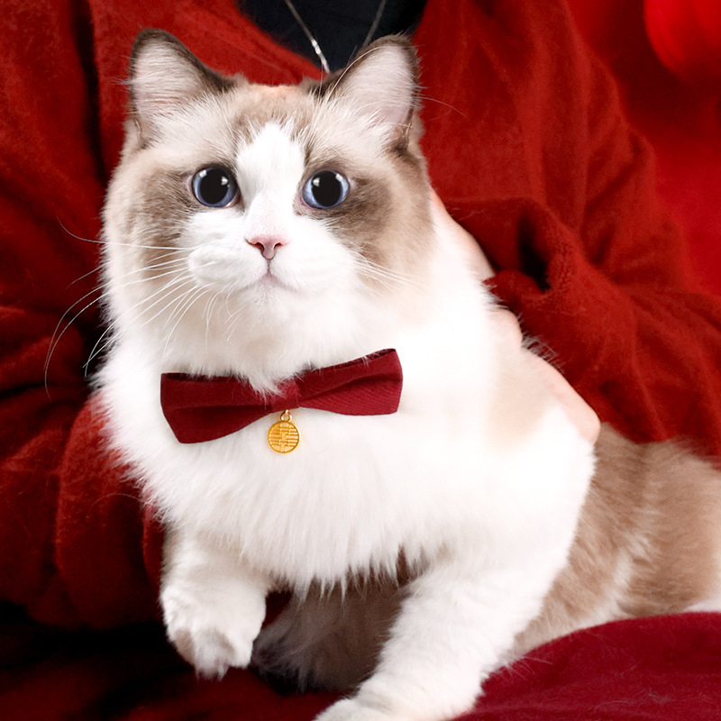 猫服 縁起物チャーム付き蝶結び首輪