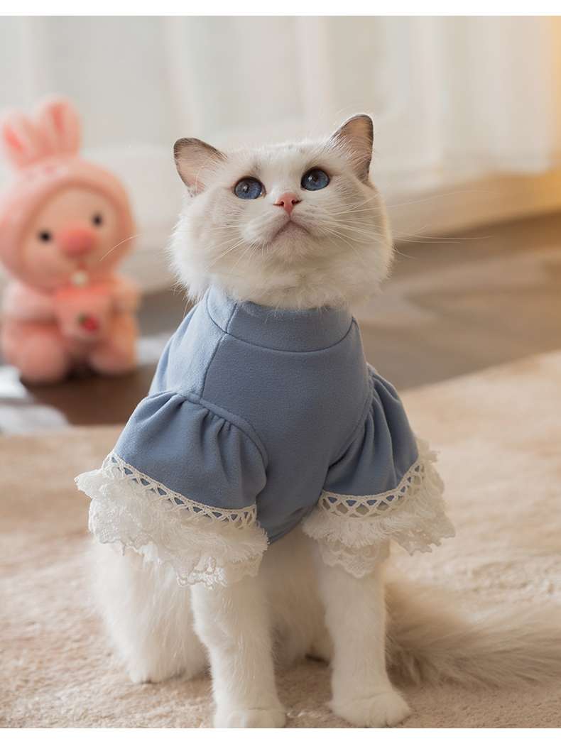 猫服  ふわもこレース猫ドレス