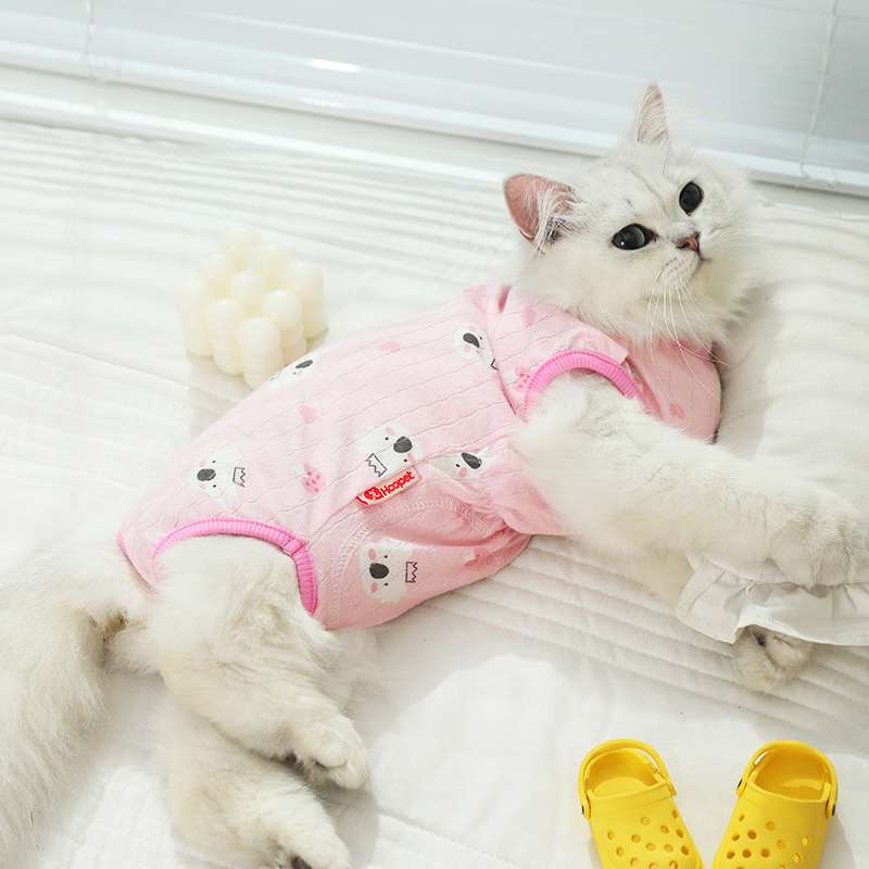 Cat Clothing Cosplay | Fluffy Lady Kitty Dress