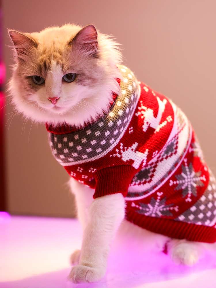 猫服 防寒服 | ペット用Christmas jumper