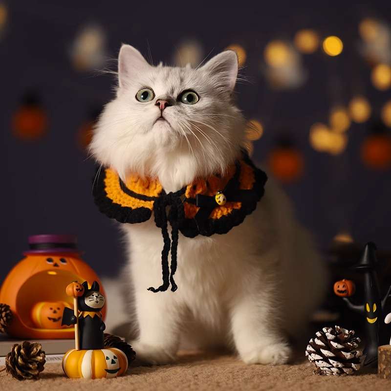 猫服 コスプレ | ハロウィン猫用コスチュームセット