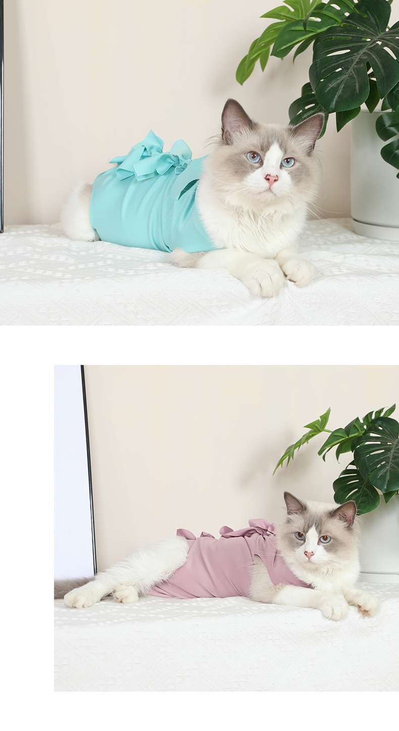 Cat Clothing Winter Jacket | Fluffy Cat Winter Hoodie