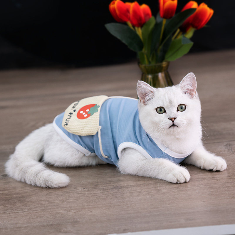 猫服 いちごとくまのワッペン付きタンクトップ