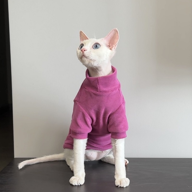 https://fulmo-img-server.com/nekohapi/b3b2557c-97e2-4946-9bf2-0e265416cb9c.jpg