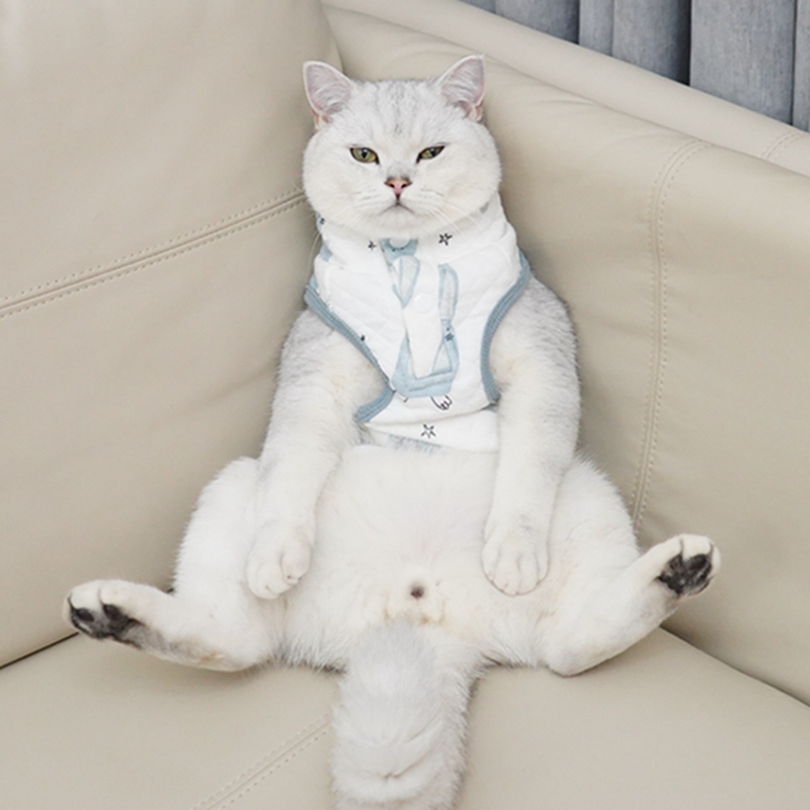 猫服 愛猫のための縞模様ベストスタイル洋服