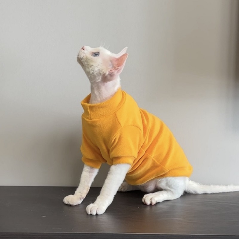 https://fulmo-img-server.com/nekohapi/b500c001-1585-4f7d-9237-c35bfeca73fa.jpg
