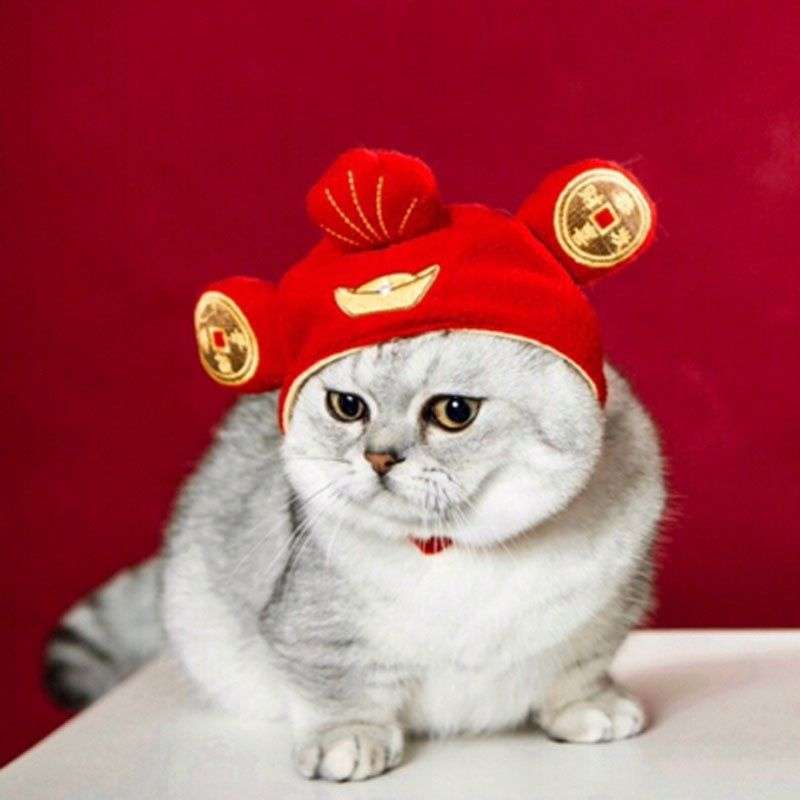 Cat Clothing Hats | Fluffy Animal Headgear