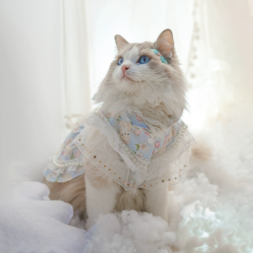 Cat Clothing Clothing | Lace Flower Pattern Dress for Cats