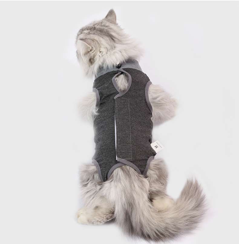 Cat Clothing Recovery Suit | Cute Patterned Cat Post-Op Wear