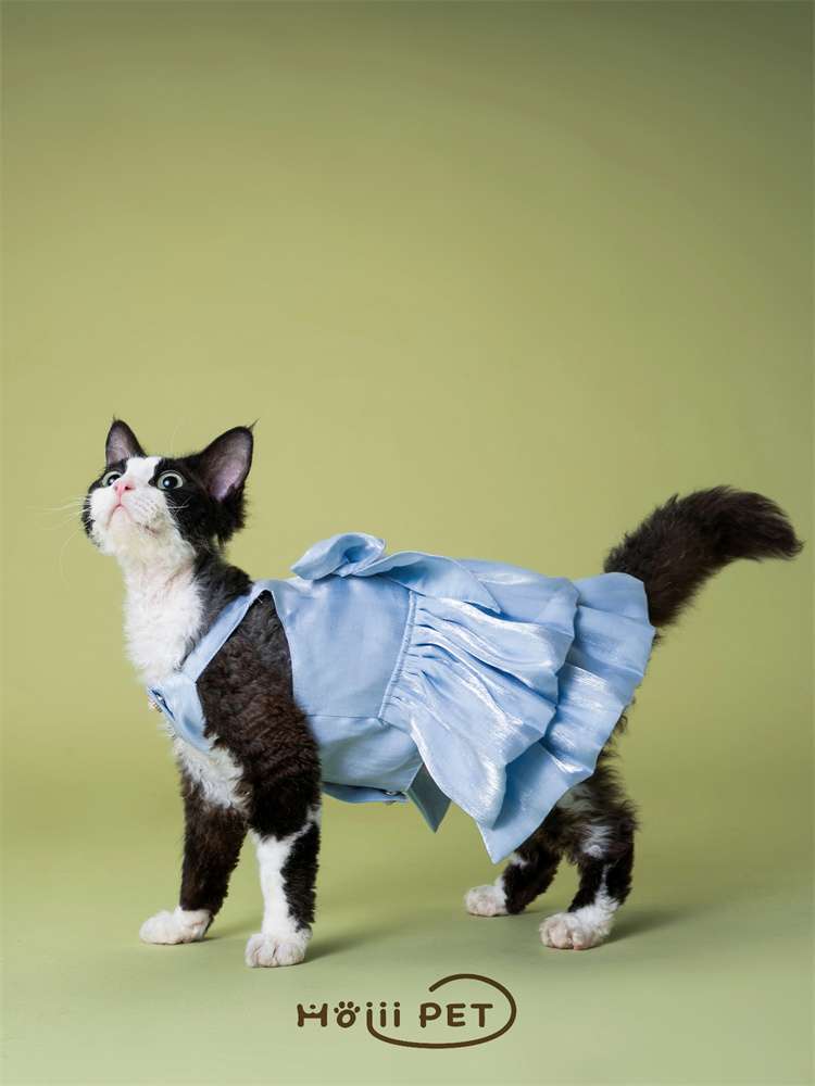 Cat Clothing Winter Jacket | Fluffy Cat Poncho-Style Winter Cape