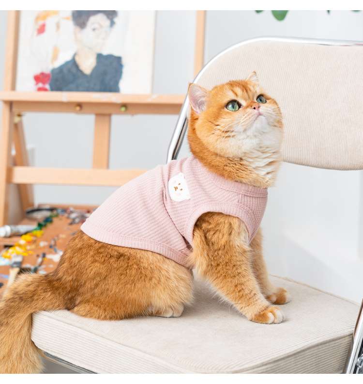 猫服 洋服 | もふもふ猫ちゃんのおしゃれベスト