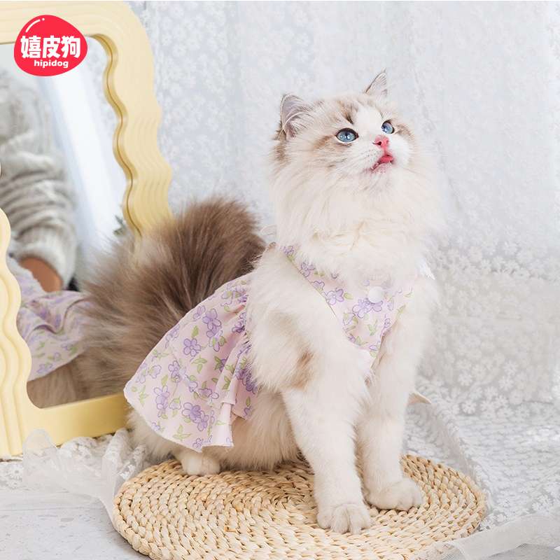 可愛い猫用の洋服おすすめ人気ランキング5選【2025年】