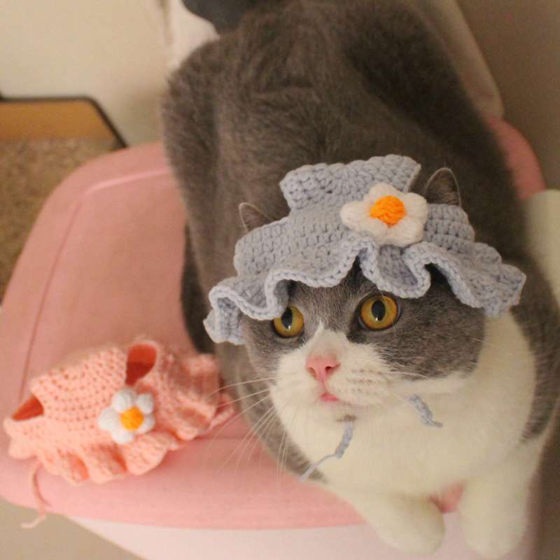 Cat Clothing Hats | Hamburger Cat Hat