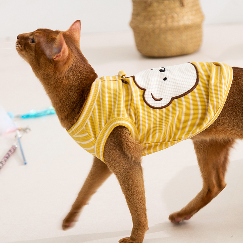 猫服 癒し系くまさんボーダー柄ノースリーブ服