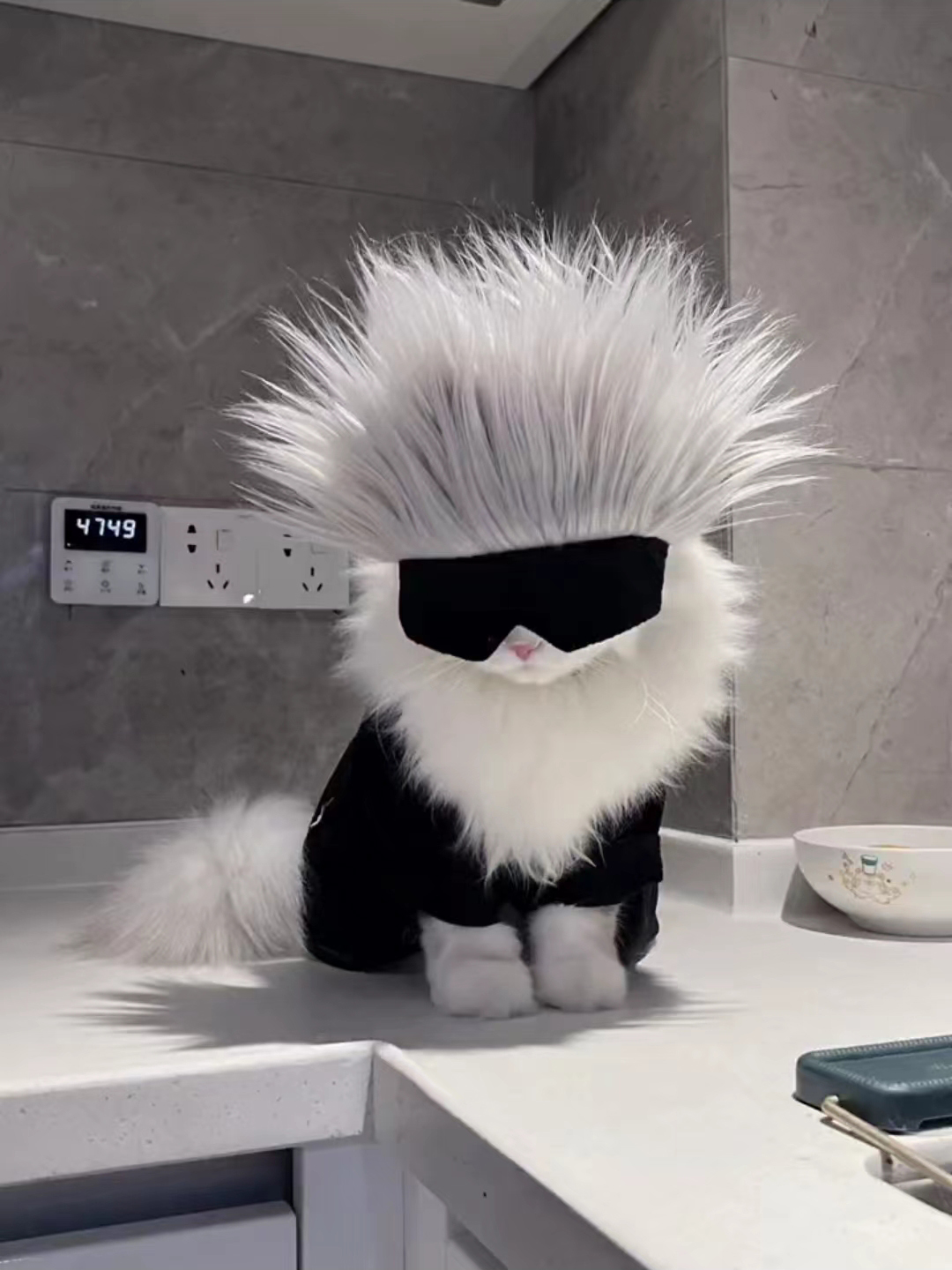猫服 未来型サングラス忍者セット