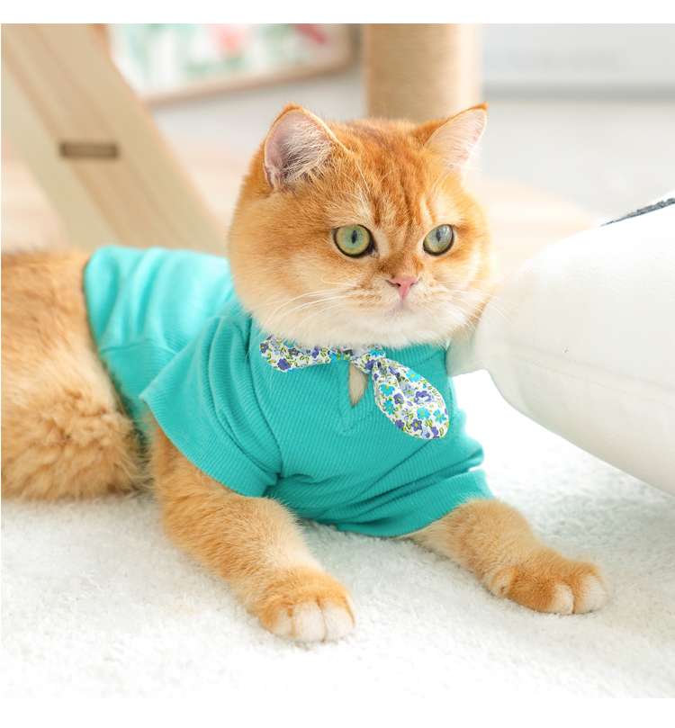 Cat Clothing Clothing | Fluffy Cat Fashion Border