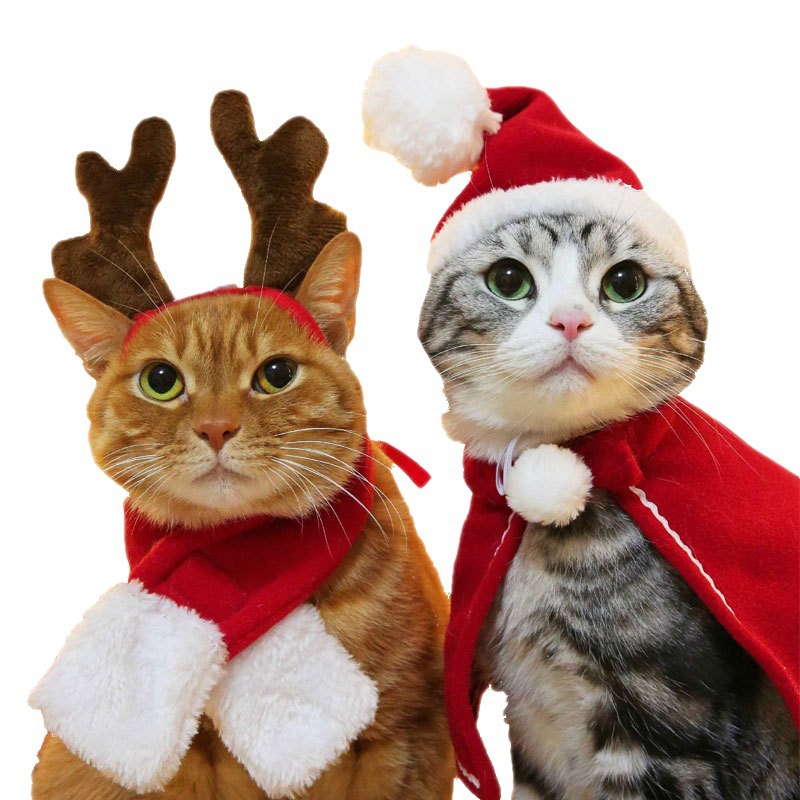 猫服 猫用クリスマス聖夜コスプレ帽子とマント