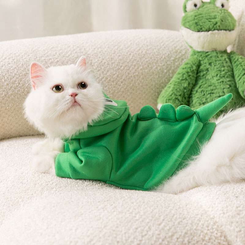 https://fulmo-img-server.com/nekohapi/c3c564e3ef424a76919a59187fc33c55.jepg