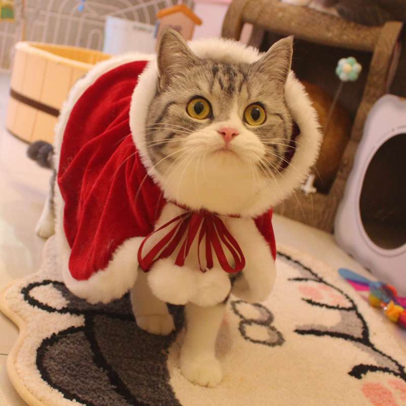 猫服 コスプレ | もふもふサンタクロース猫コスチューム