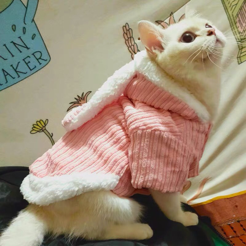 猫服 うさぎ耳付きもこもこ編み込み猫用防寒着