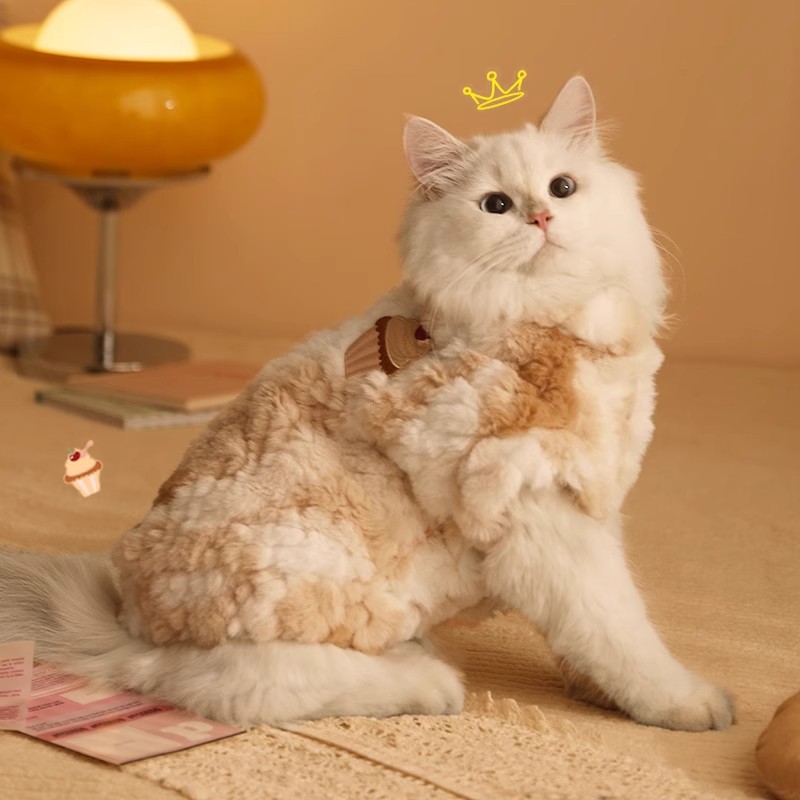 https://fulmo-img-server.com/nekohapi/c8291e40-f07a-4845-a2f8-84e9dd0c1fe2.jpg