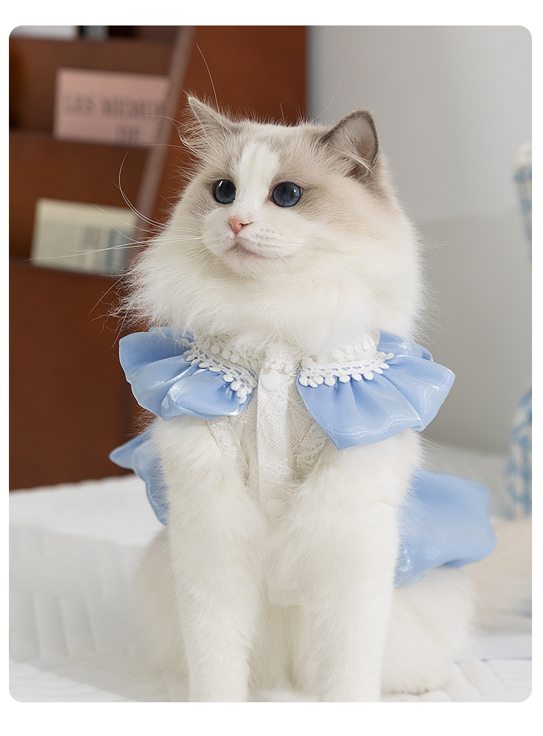 猫服 お姫様風フリル襟付き光沢ドレス