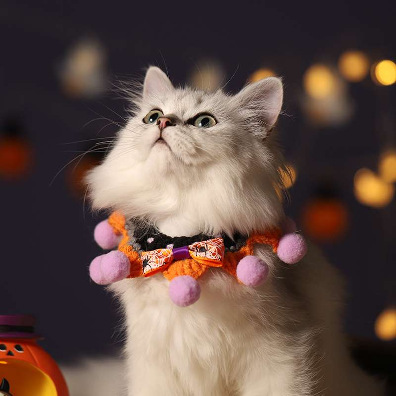 猫服 コスプレ | ハロウィン猫用コスチュームセット